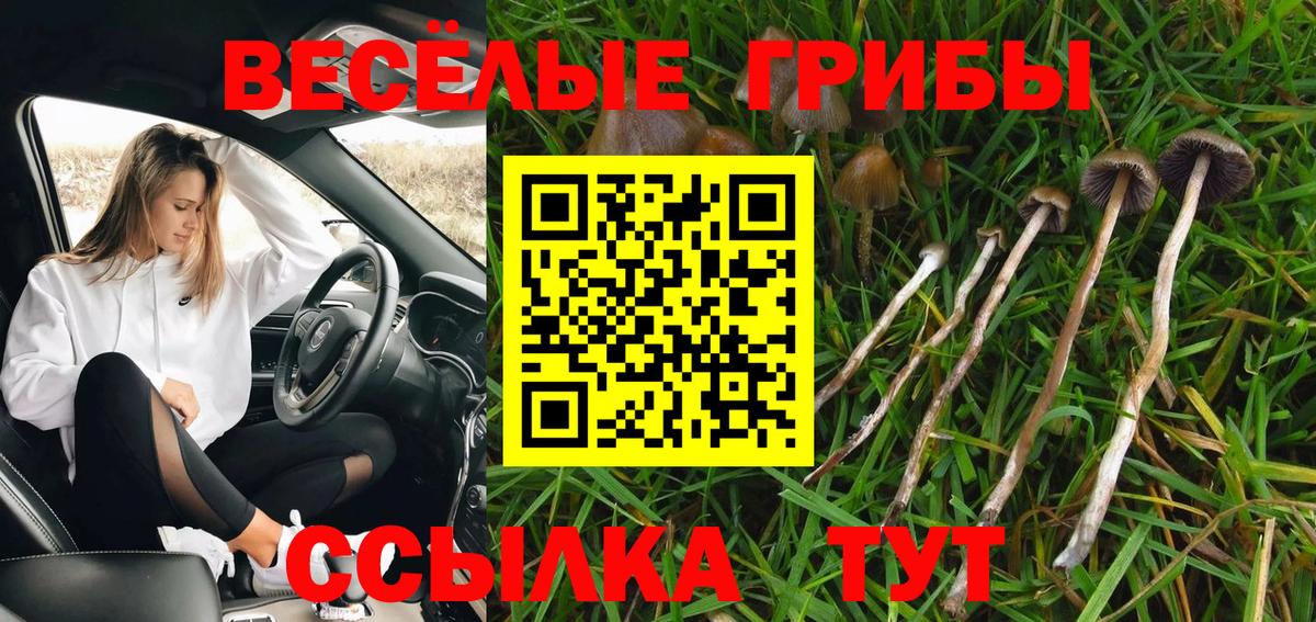 Галлюциногенные грибы Cubensis Киселёвск